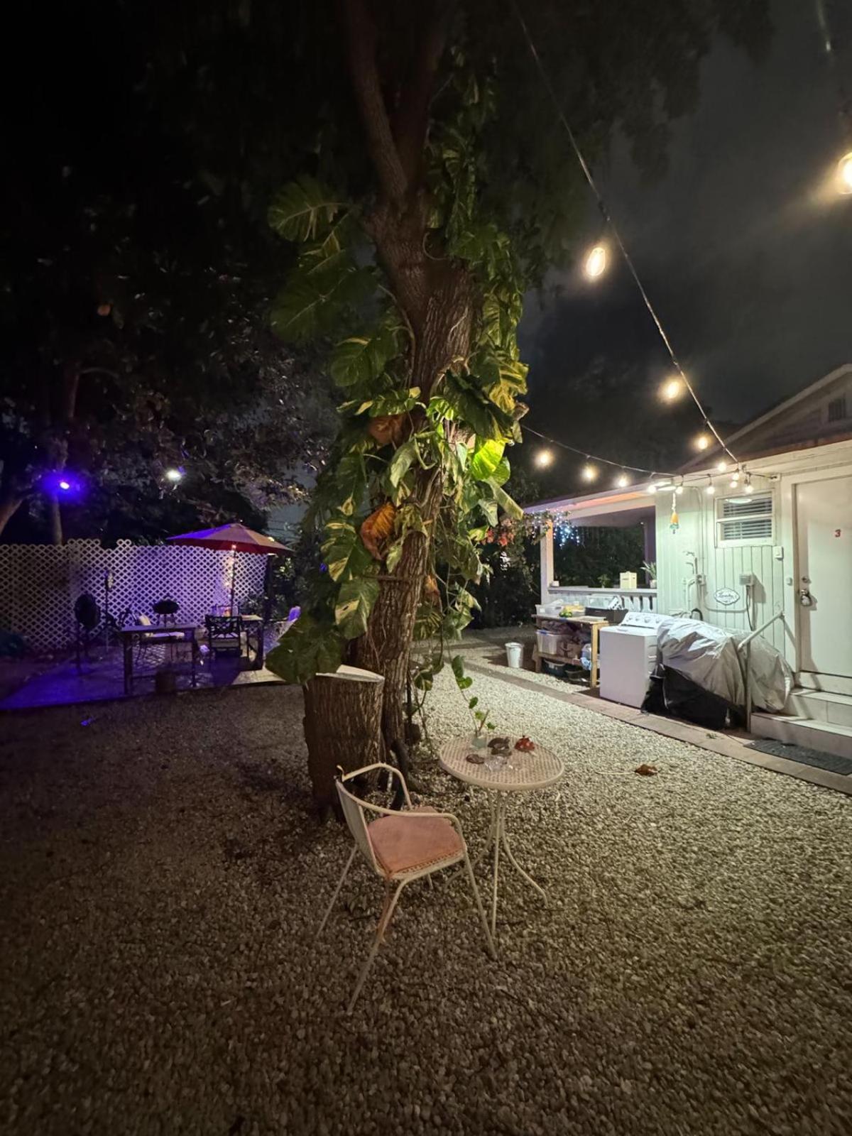 Deluxe Room In Best Location Miami In A 2 Bedrooms Unit - Parking, Laundry And Luggage Storage Exteriér fotografie